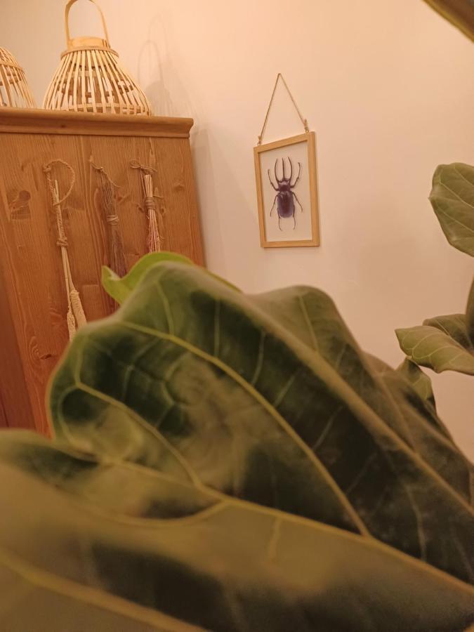 75M2 Indoor Glamping Scheveningen Apartamento Haia Exterior foto